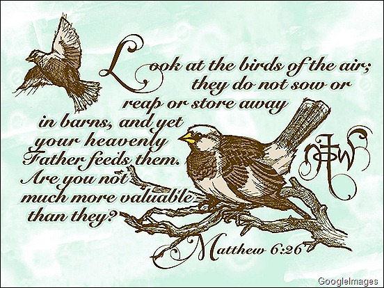 With A Grateful Heart: His Eye Is On The Sparrow